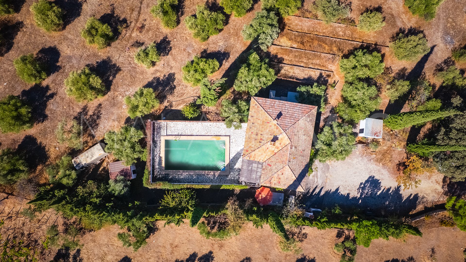 Finca for sale in Ronda