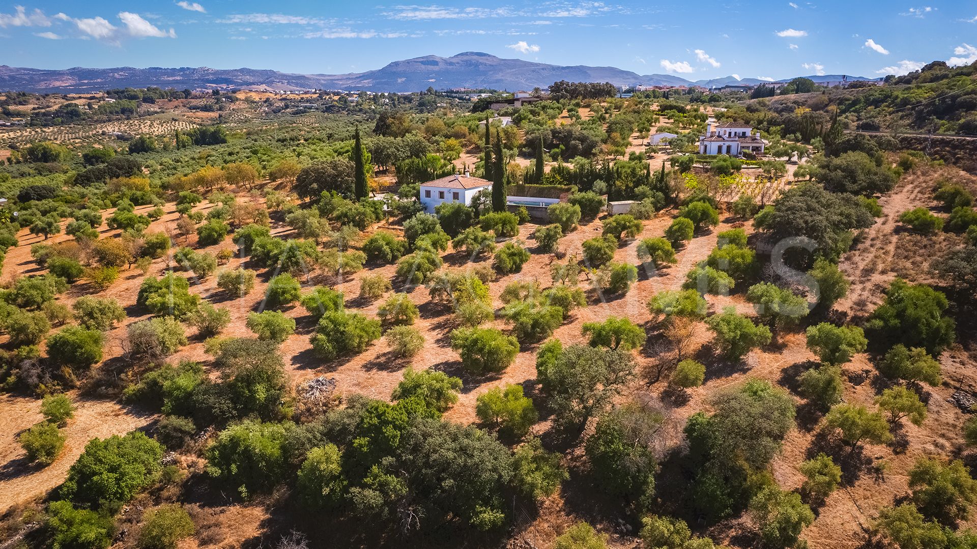 Finca for sale in Ronda