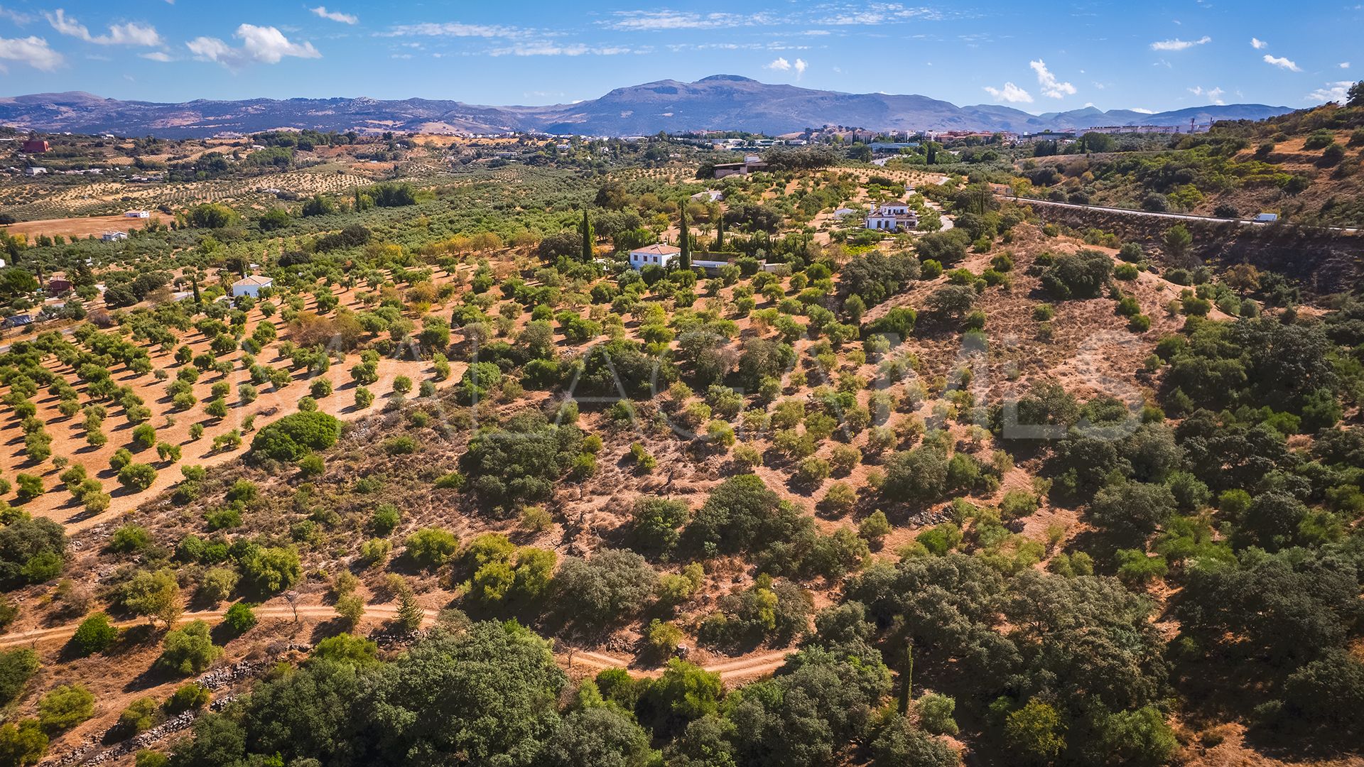 Finca for sale in Ronda