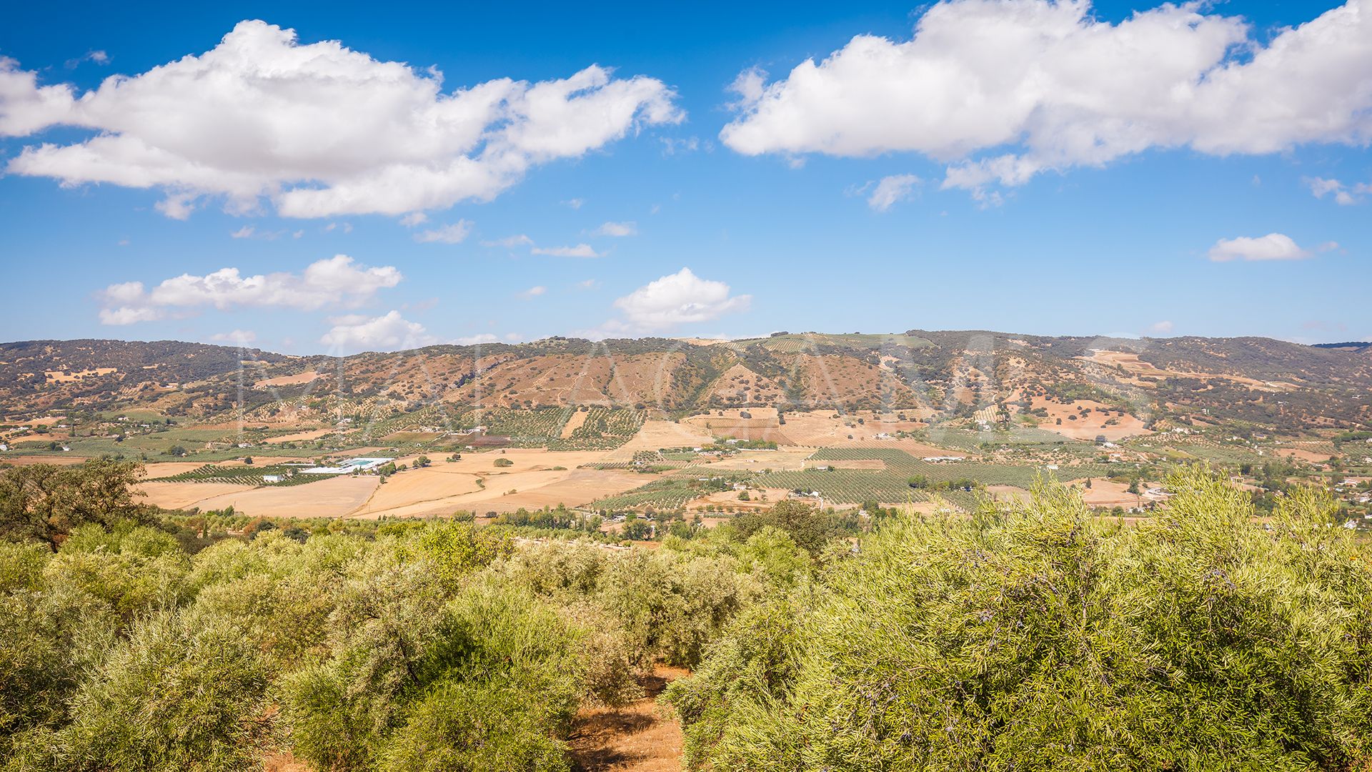 Finca for sale in Ronda