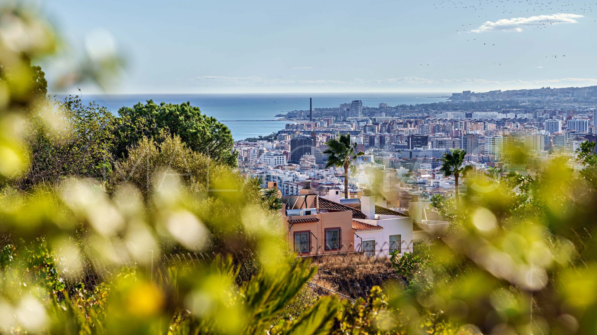 House for sale in Malaga - Ciudad Jardín