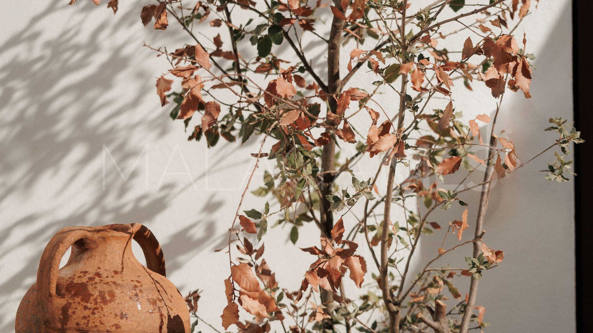 Reihenhaus for sale in El Naranjal