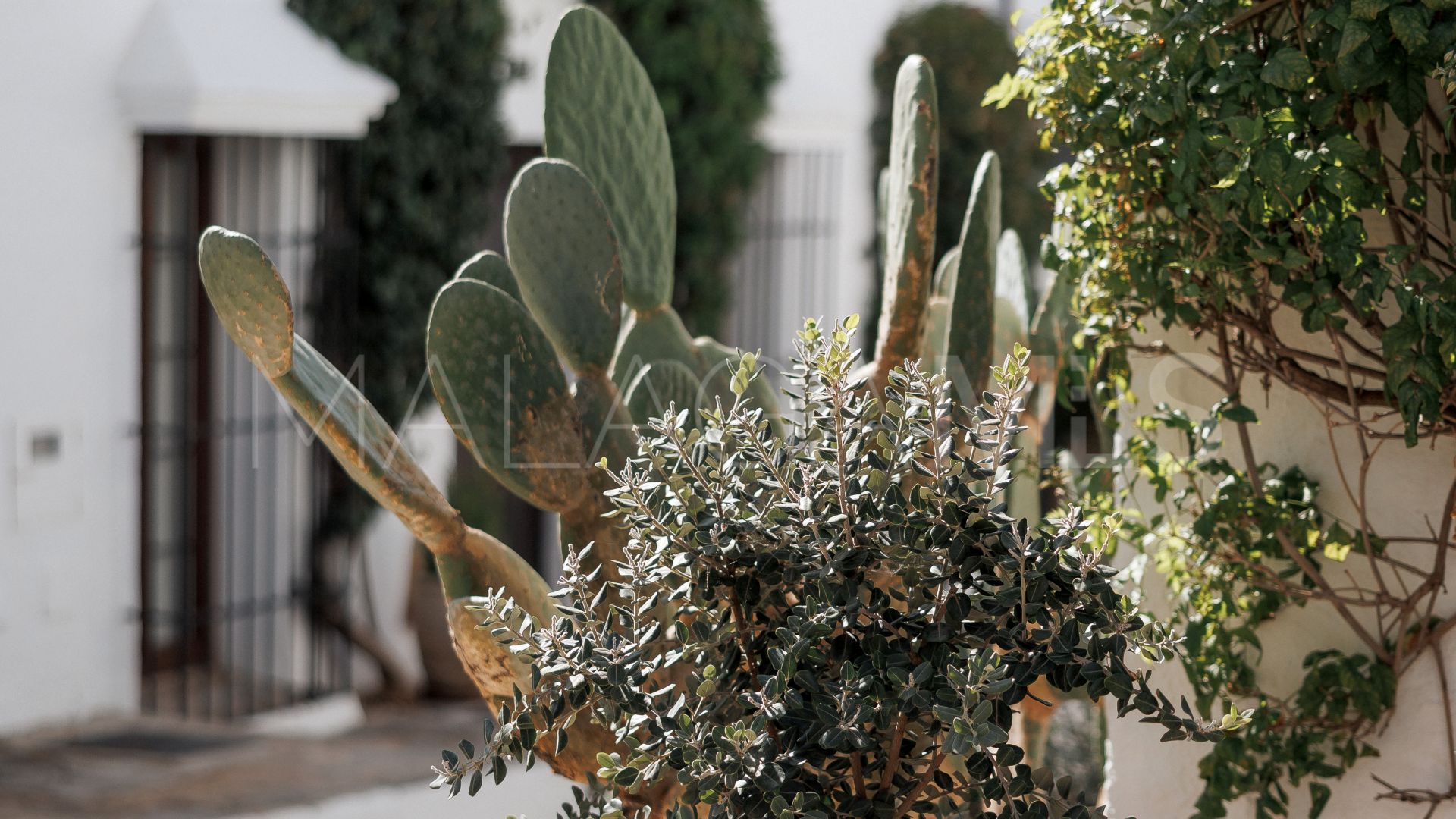 Reihenhaus for sale in El Naranjal