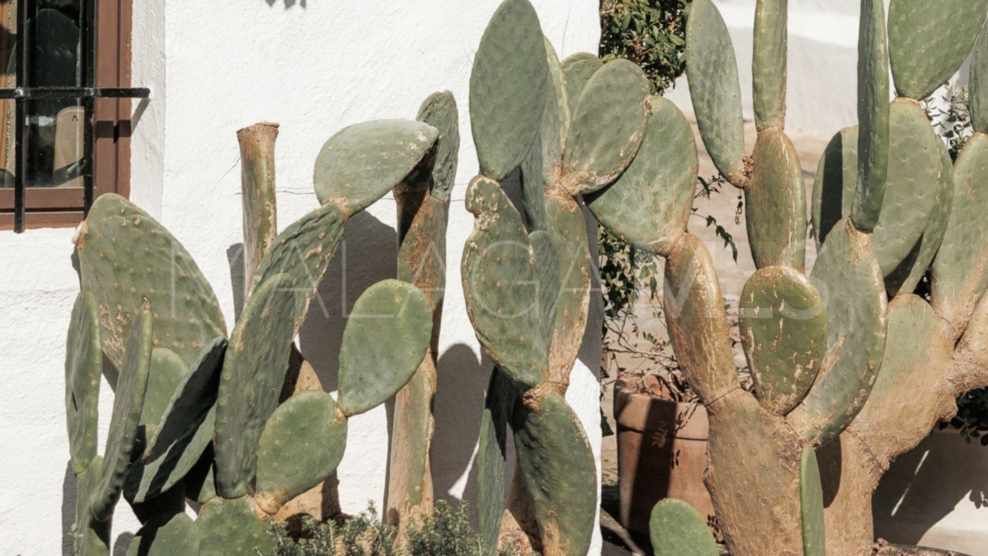 Reihenhaus for sale in El Naranjal