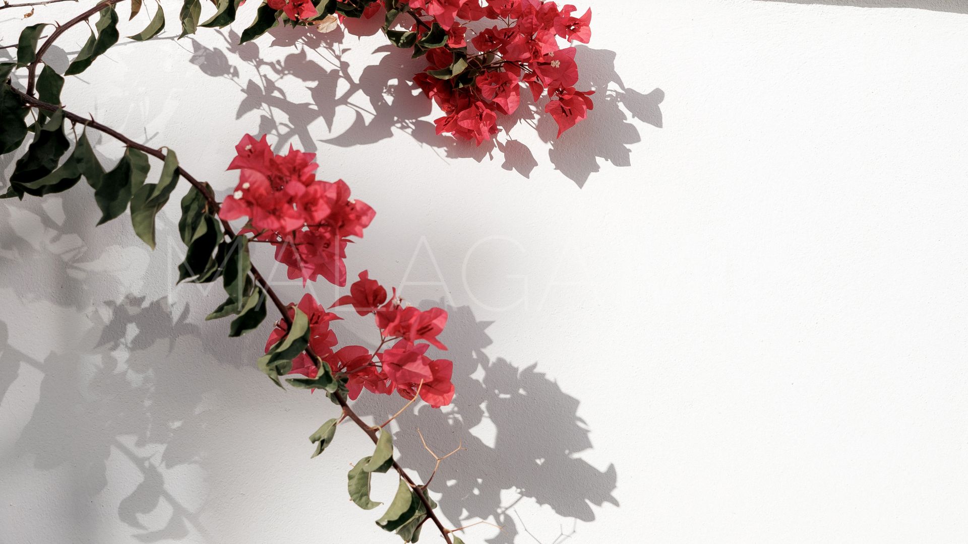 Reihenhaus for sale in El Naranjal