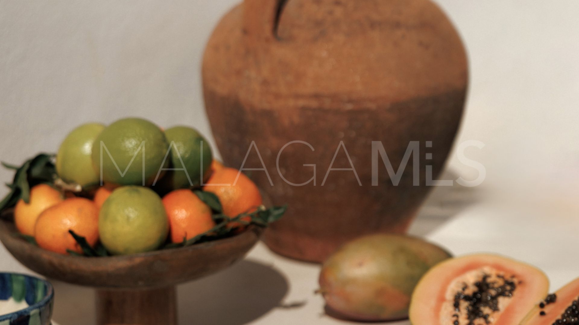 Reihenhaus for sale in El Naranjal