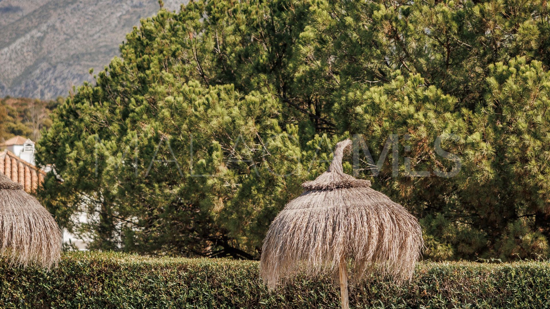 Maison de ville for sale in El Naranjal