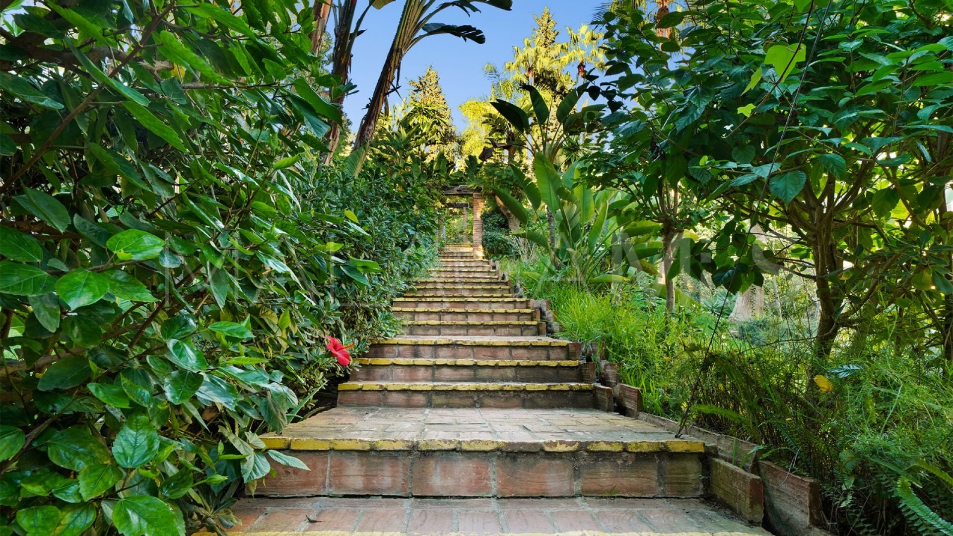 Duplex penthouse for sale in Eden Hill