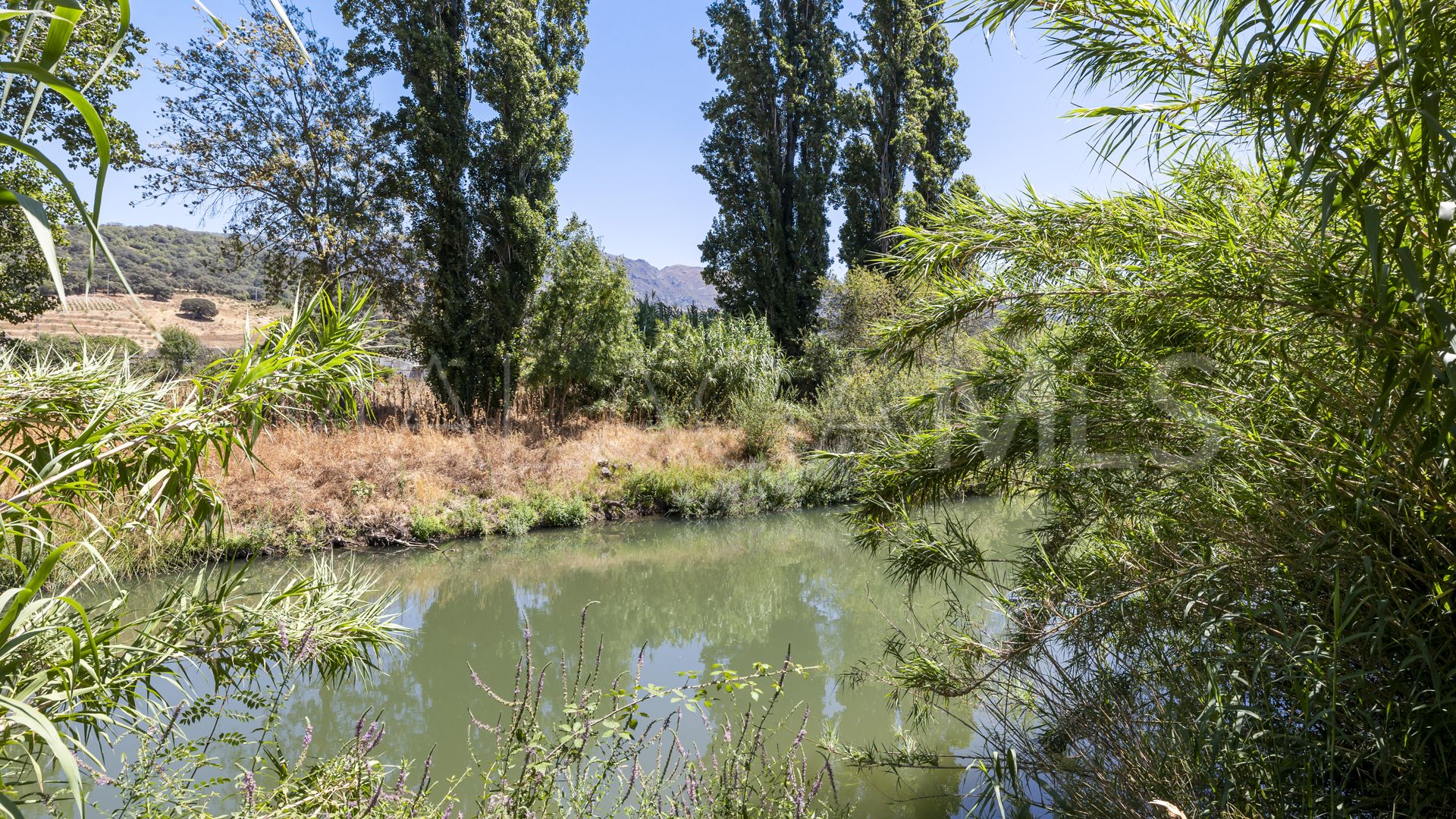 Maison for sale in Cortes de la Frontera