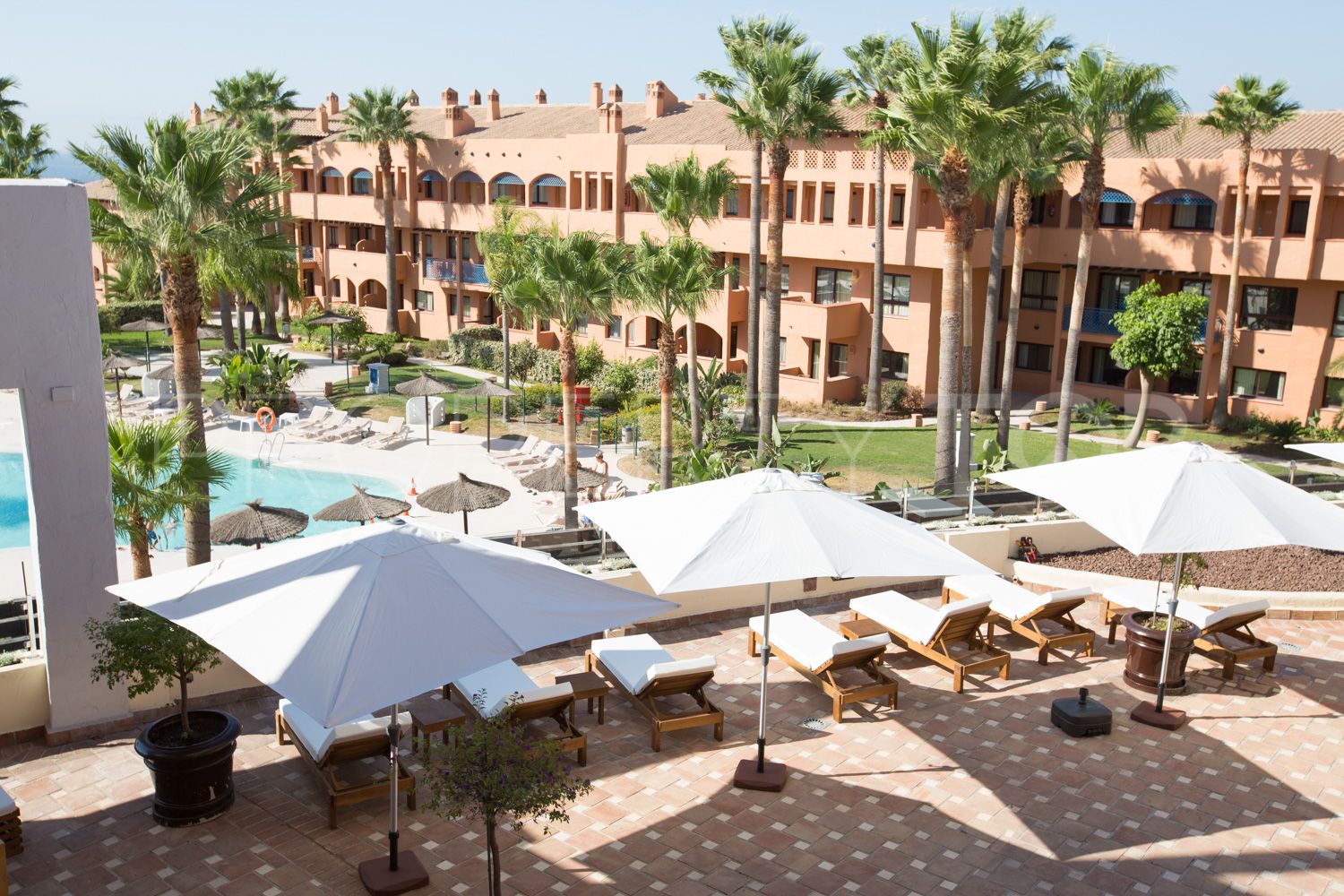 Buy Los Flamingos 1 bedroom apartment
