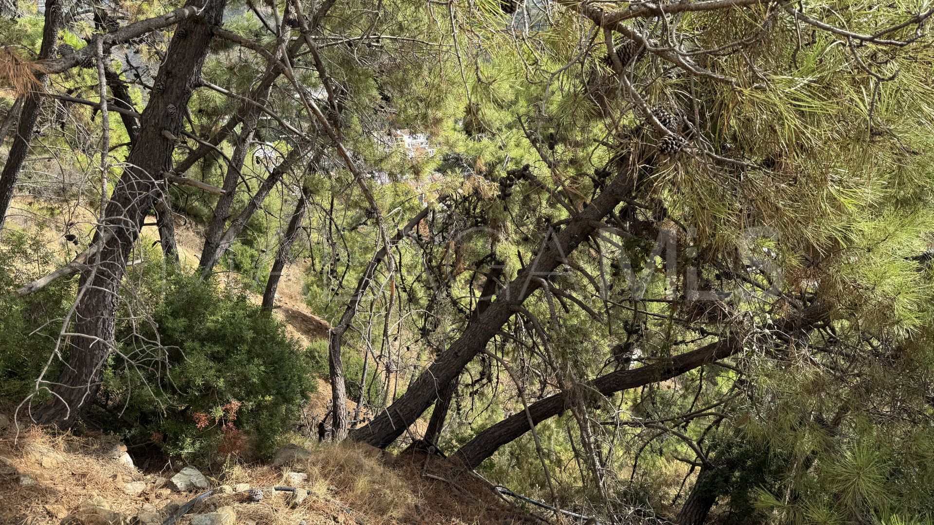 Grundstück for sale in Benahavis Centro