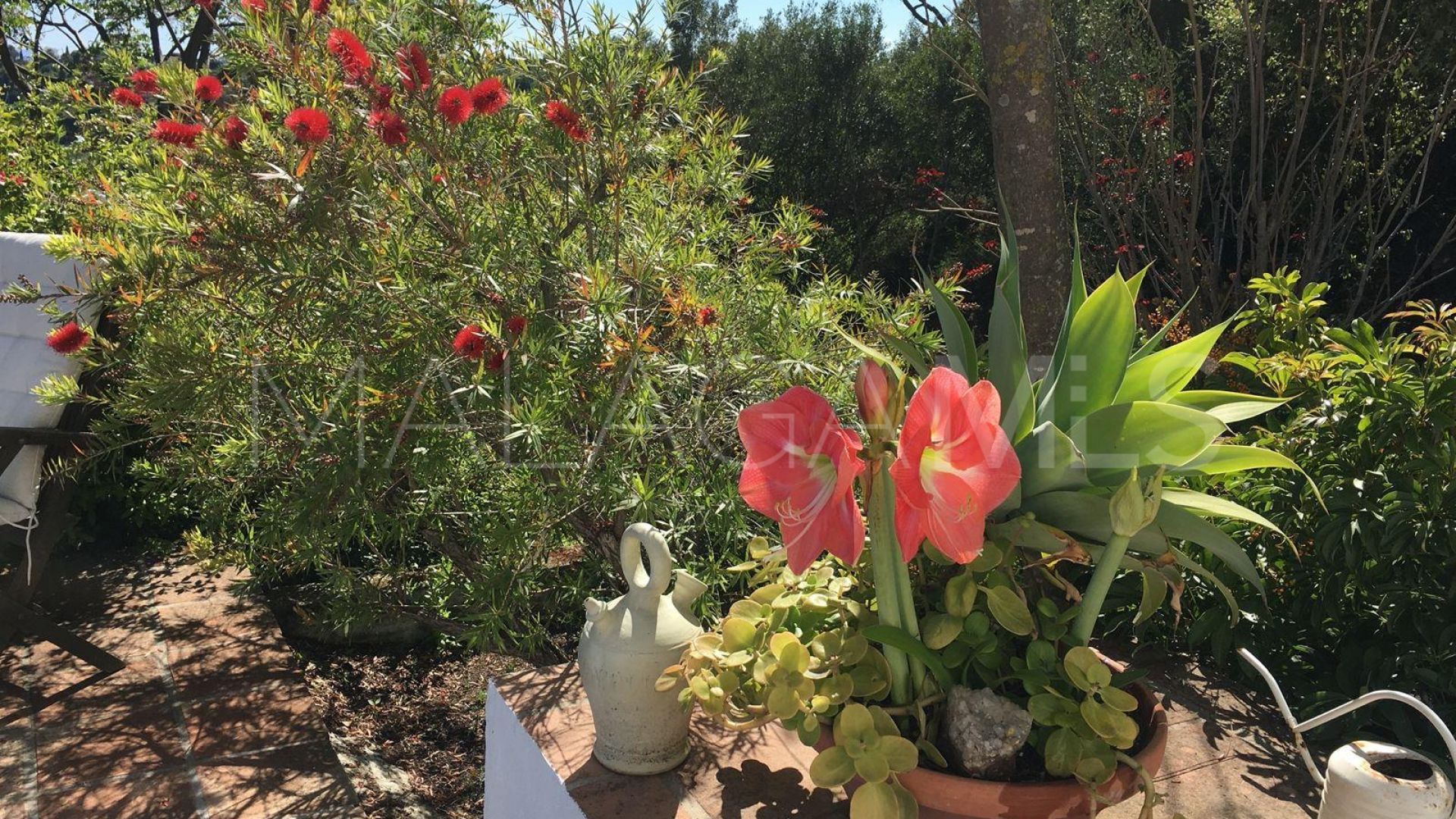 Se vende finca with 3 bedrooms in El Padron