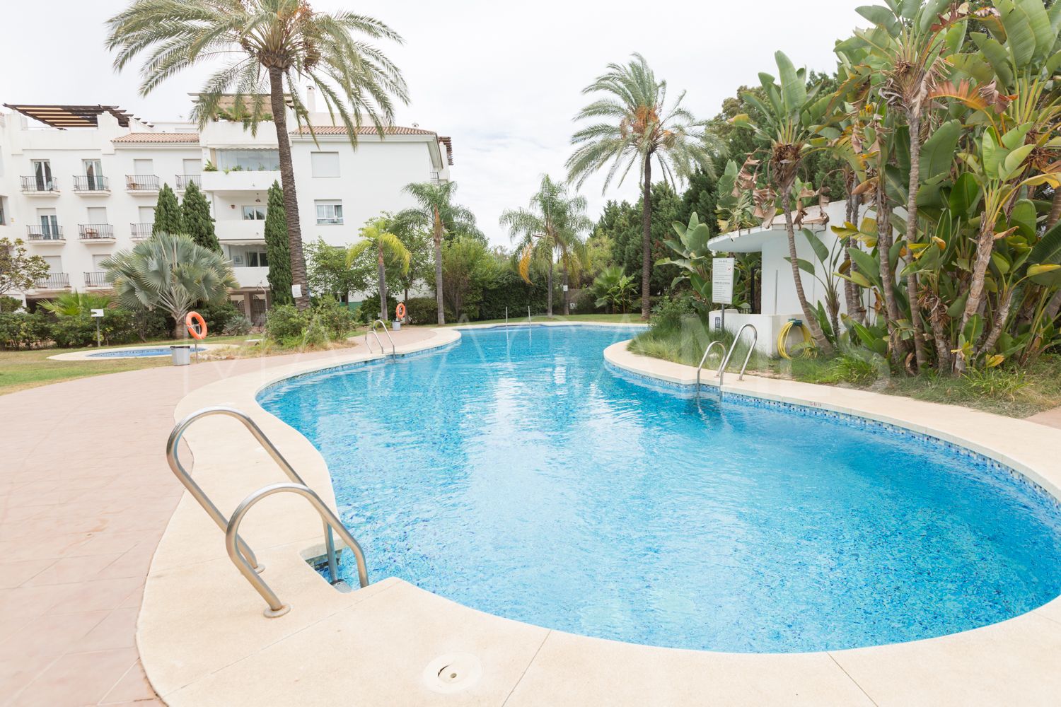 Appartement terrasse for sale in Nueva Andalucia