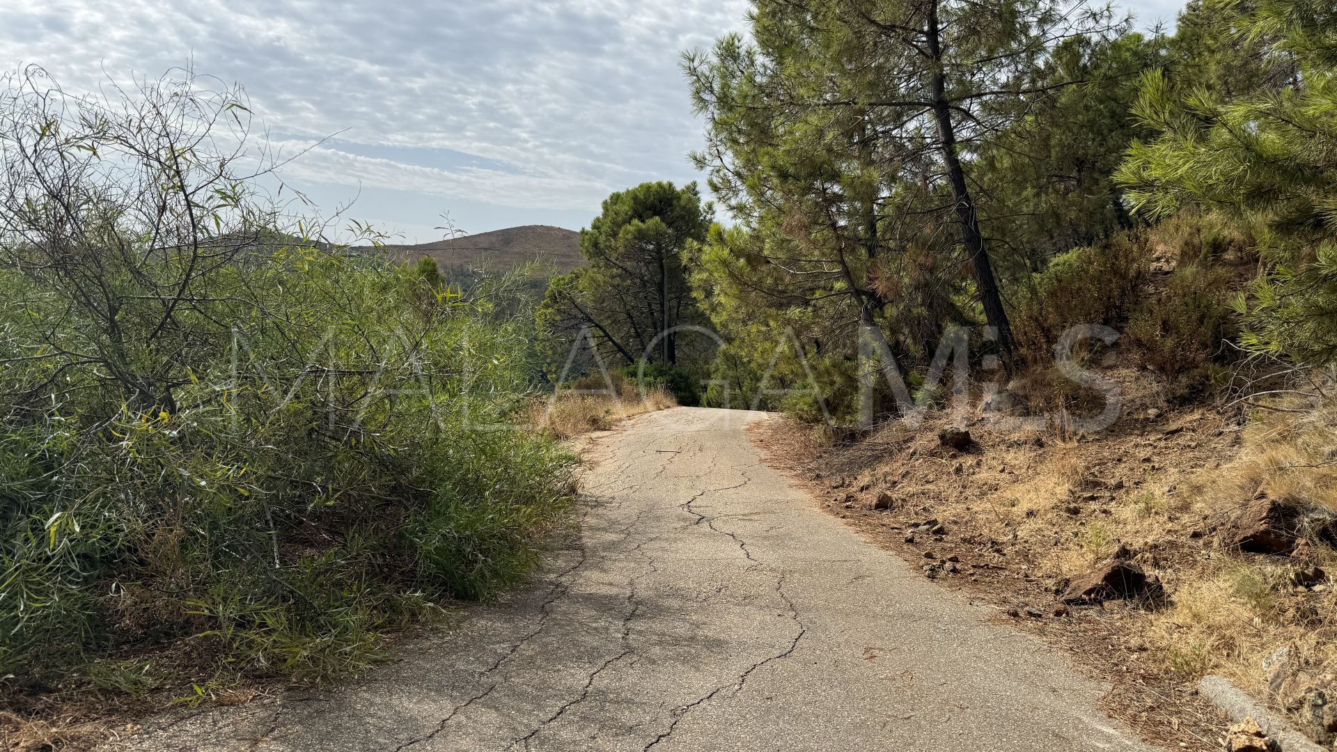 Parcela a la venta in Benahavis Centro