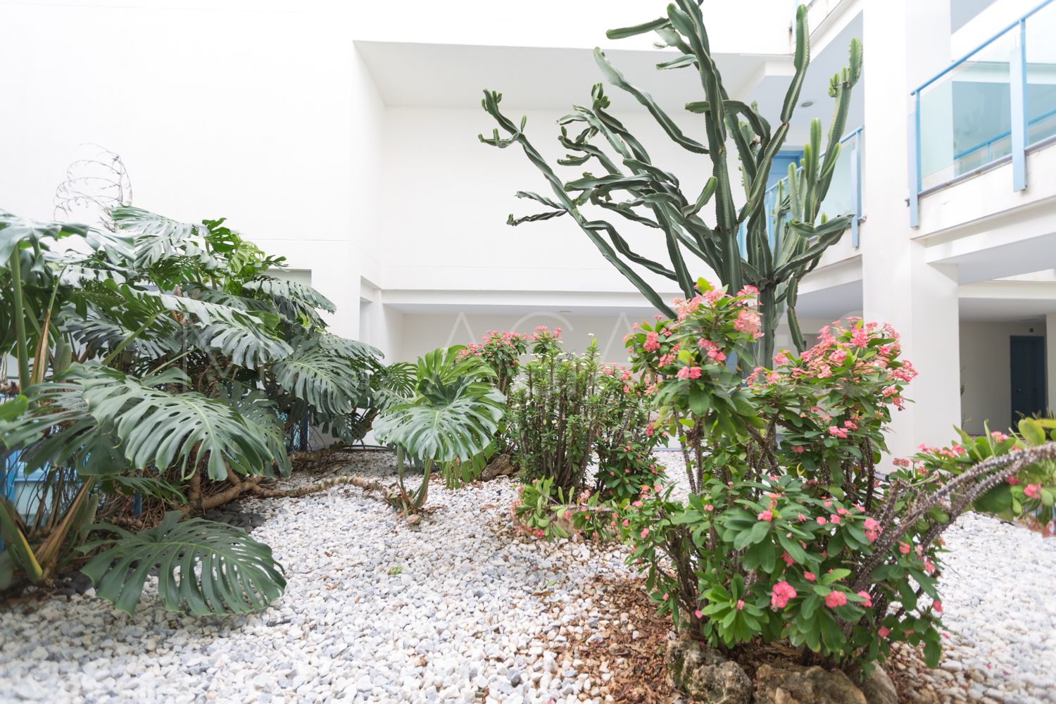 Apartment for sale in Terrazas del Rodeo with 1 bedroom