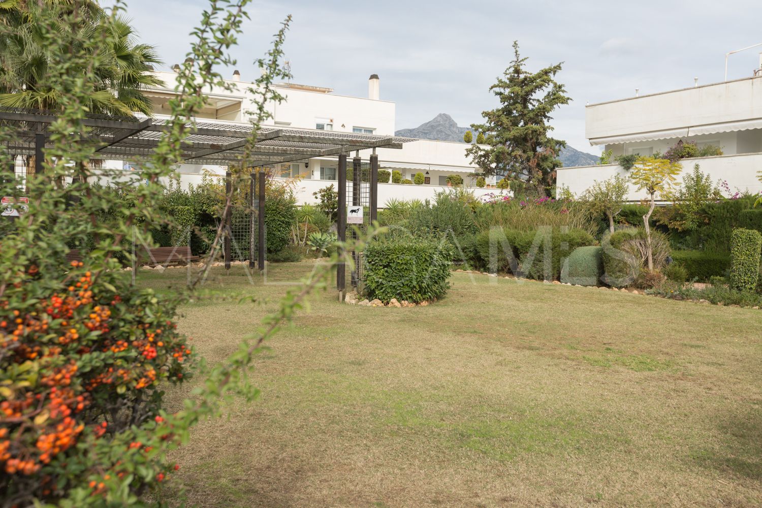 Terrazas del Rodeo apartment for sale