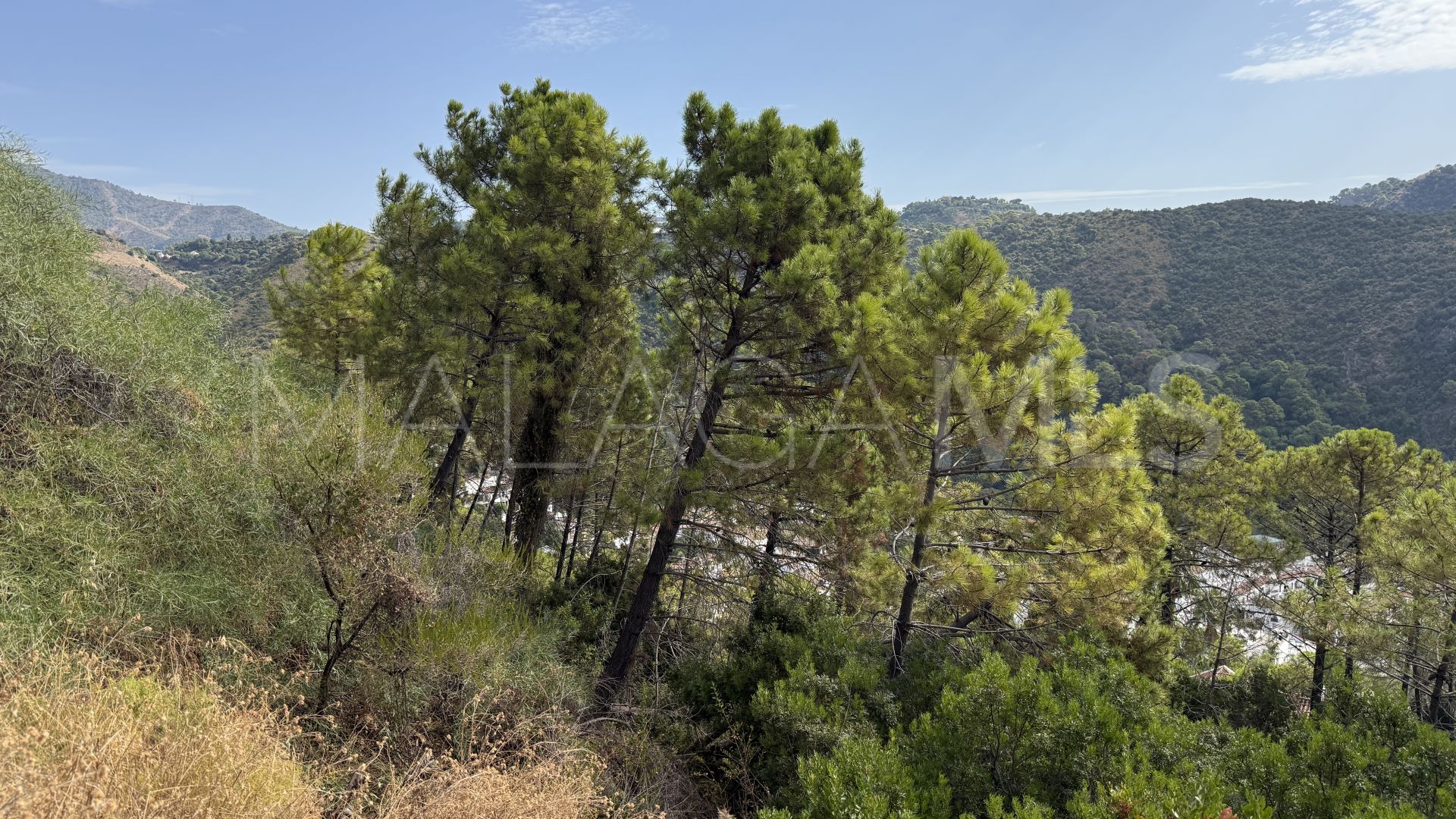 For sale Benahavis Centro plot