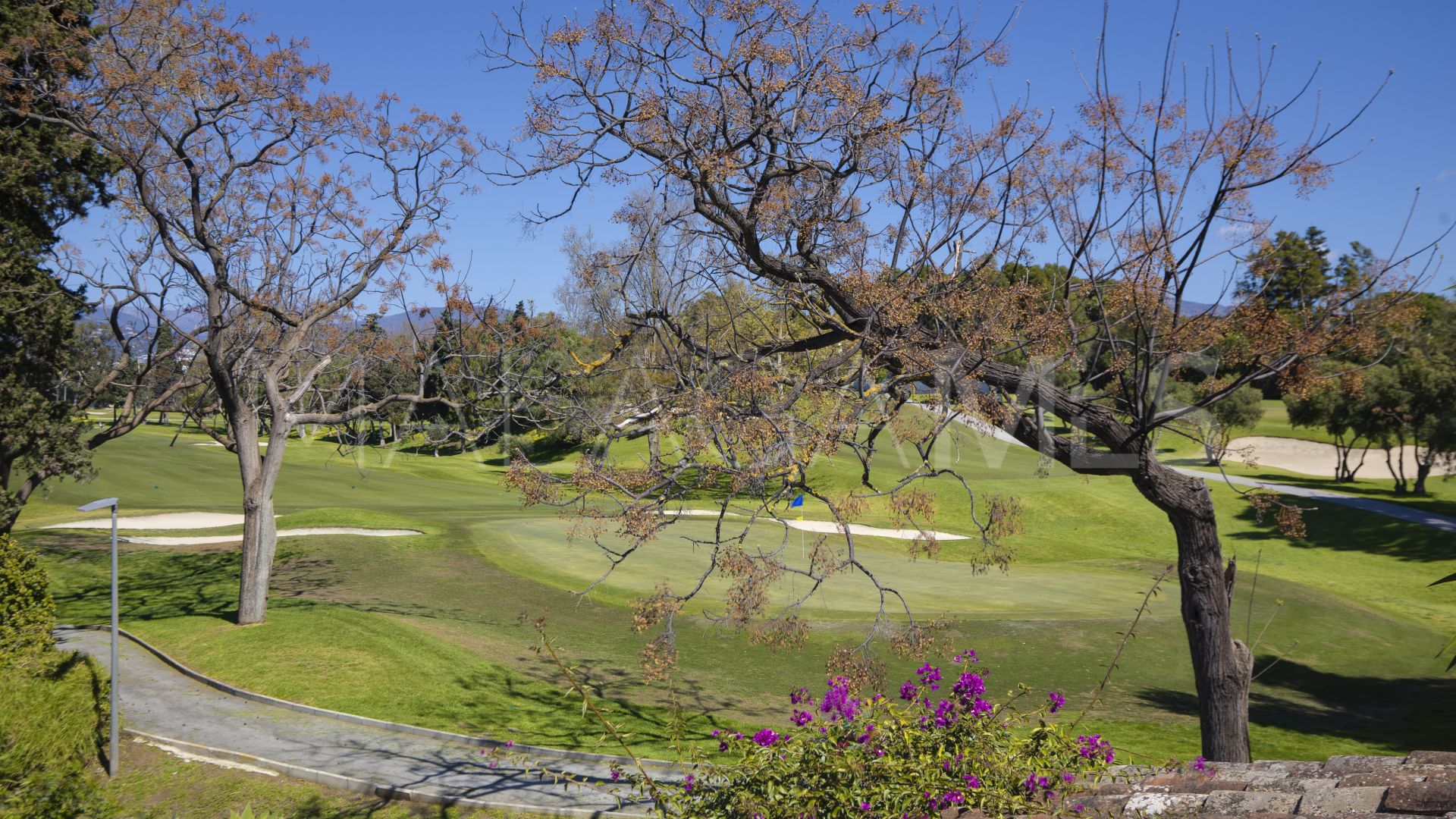 Villa for sale in Guadalmina Baja