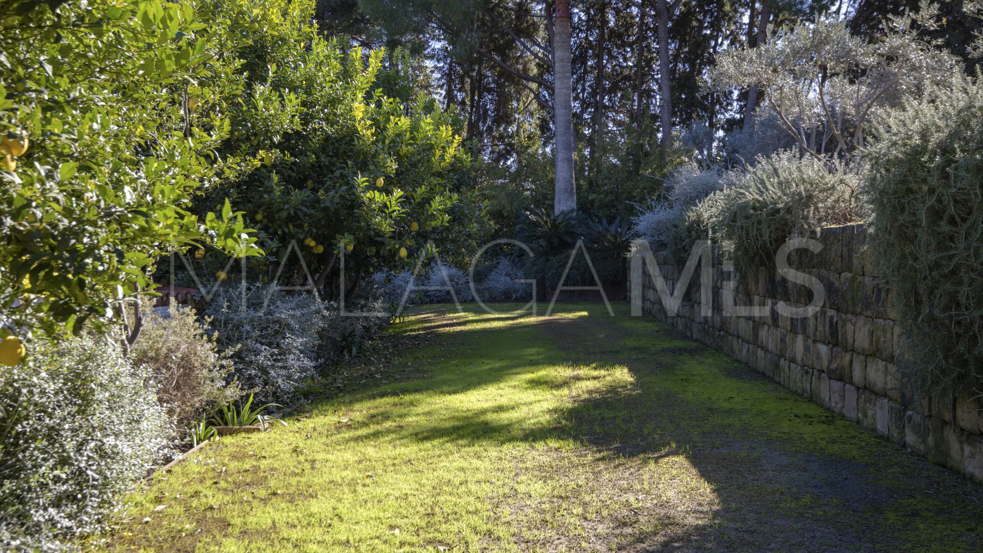 Villa for sale in Guadalmina Alta