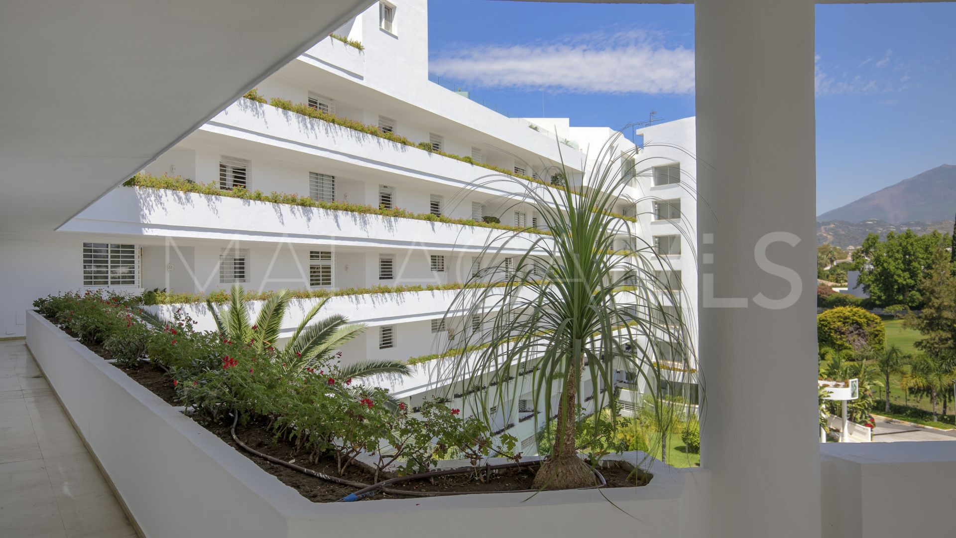 Appartement for sale in Guadalmina Alta