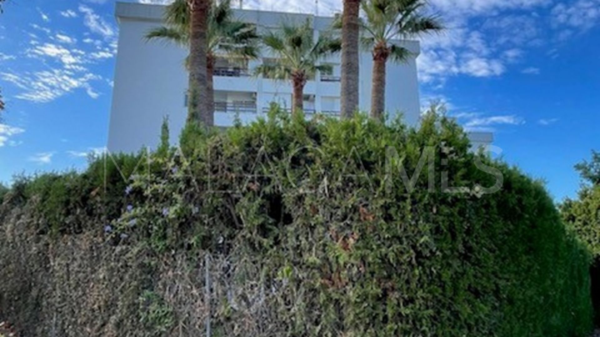 1 bedroom La Campana apartment for sale