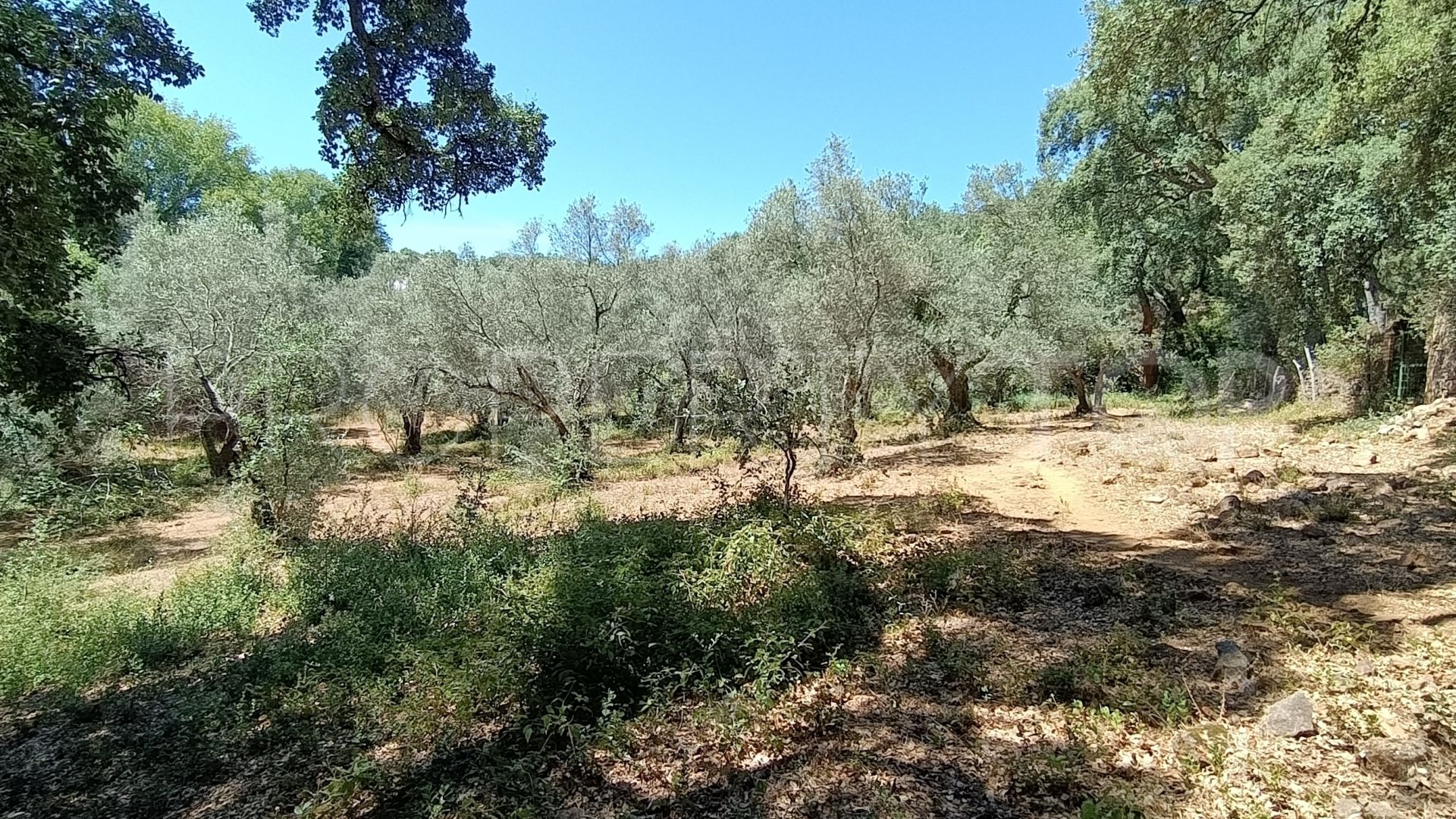 Parcela a la venta en Aracena