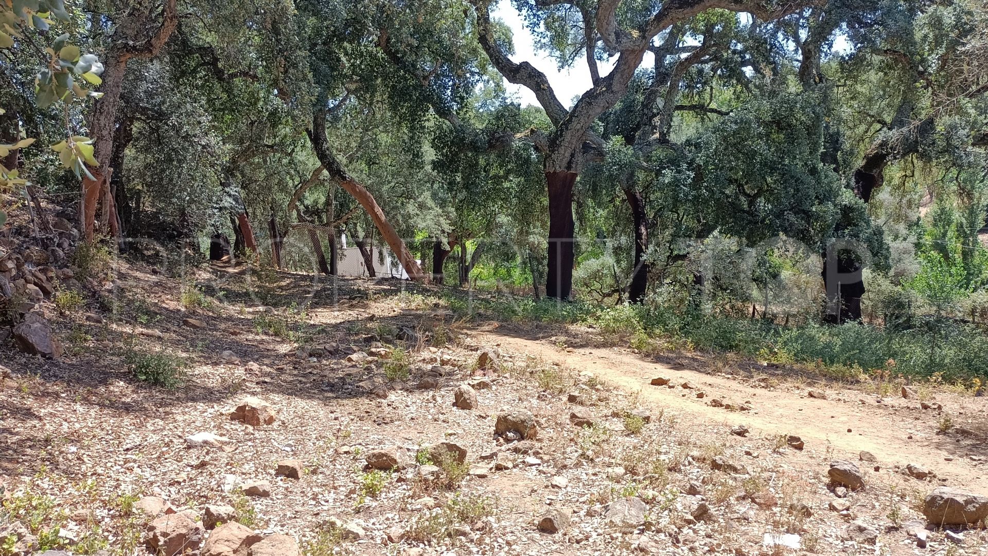 Parcela a la venta en Aracena