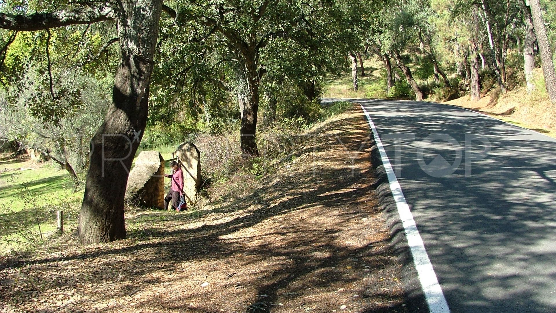 Parcela a la venta en Aracena