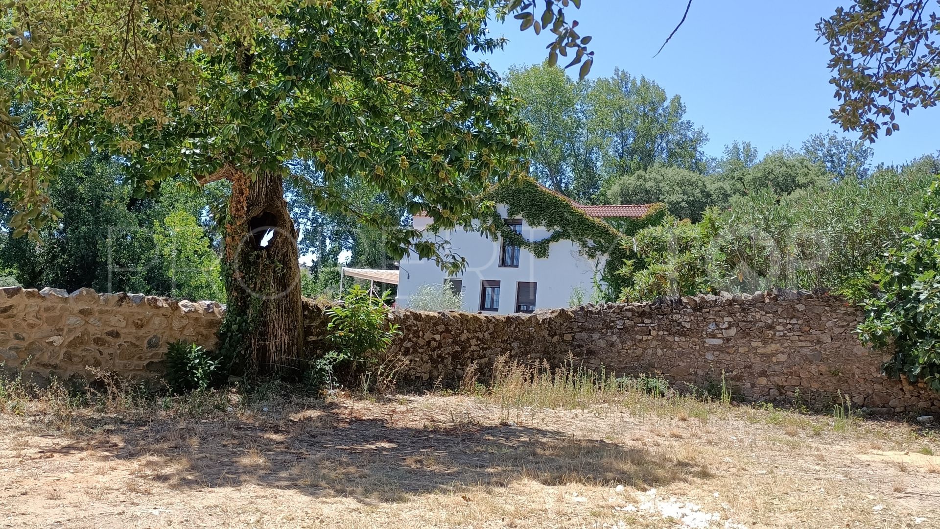 Parcela a la venta en Aracena