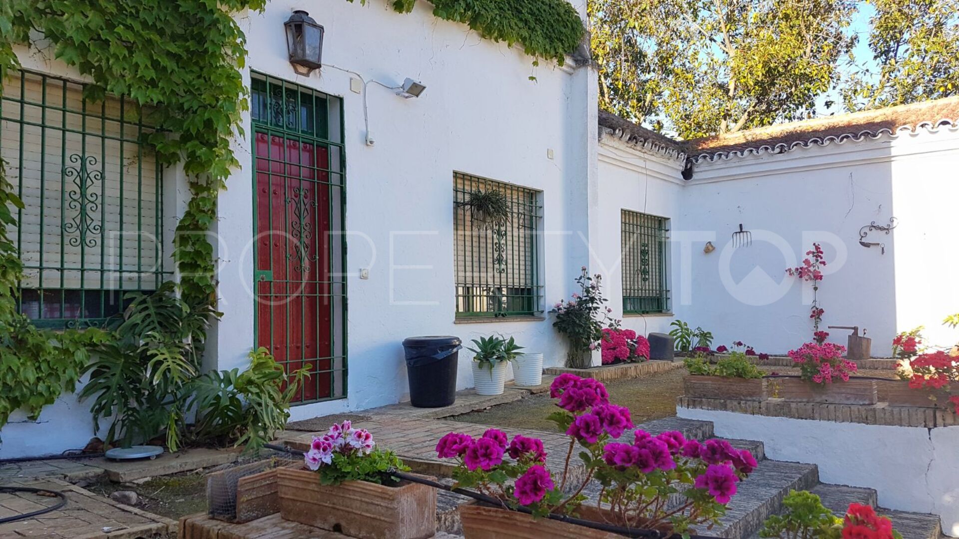 Hinojos estate for sale