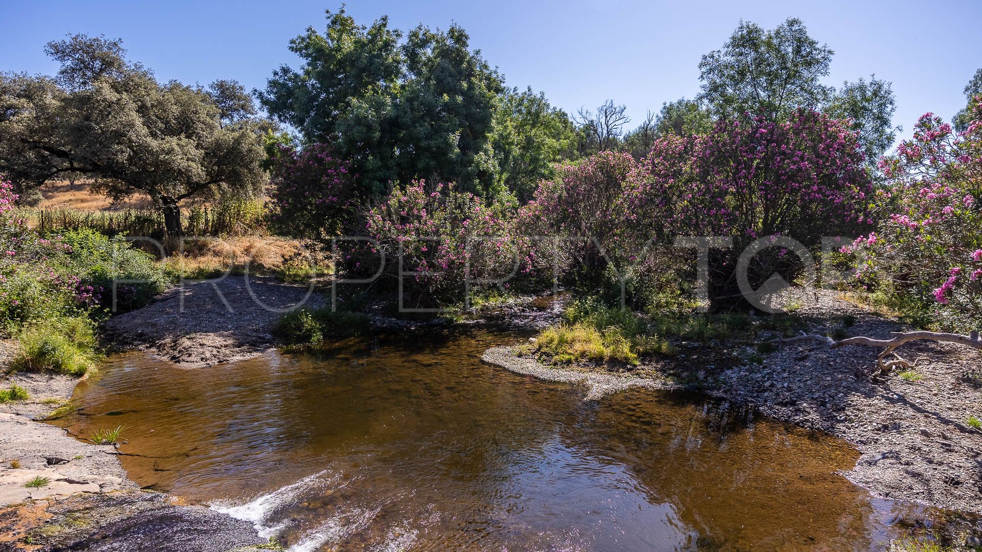 For sale Aracena finca