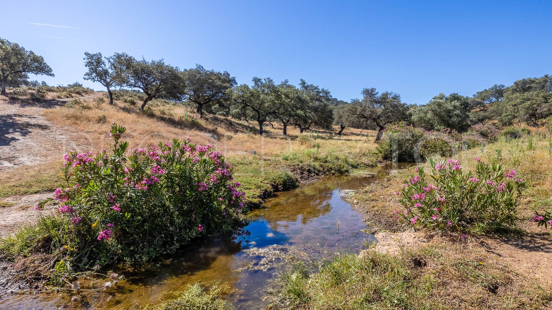 For sale Aracena finca