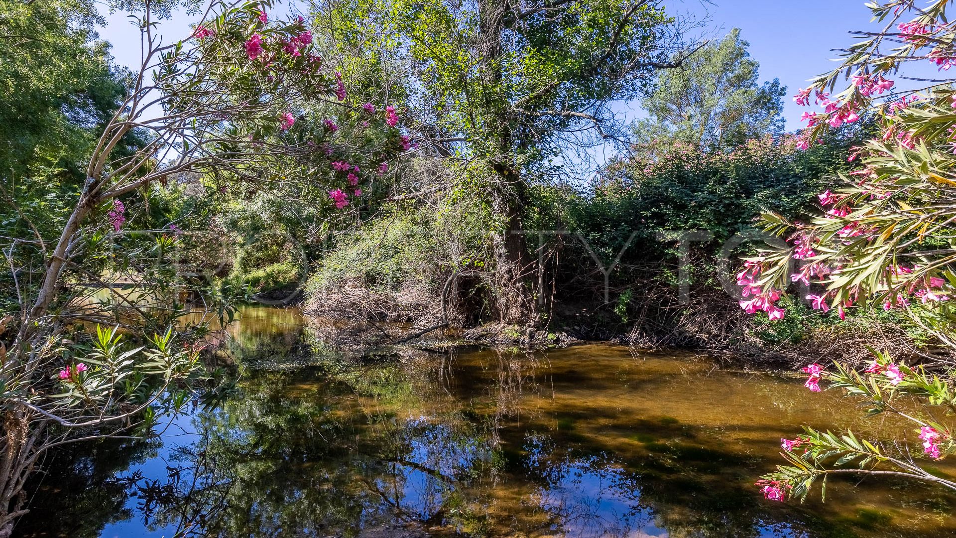 For sale Aracena finca