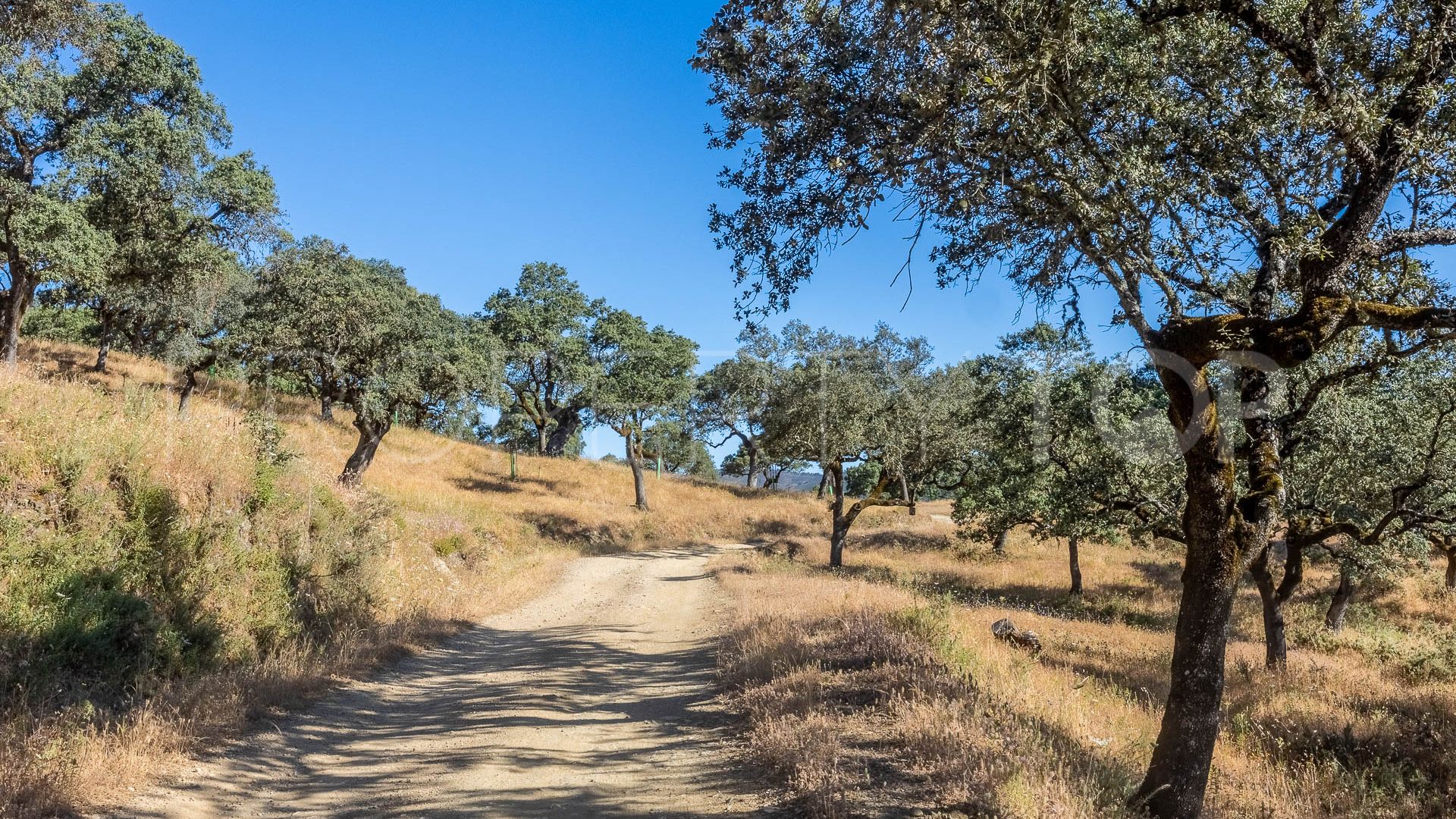 For sale Aracena finca