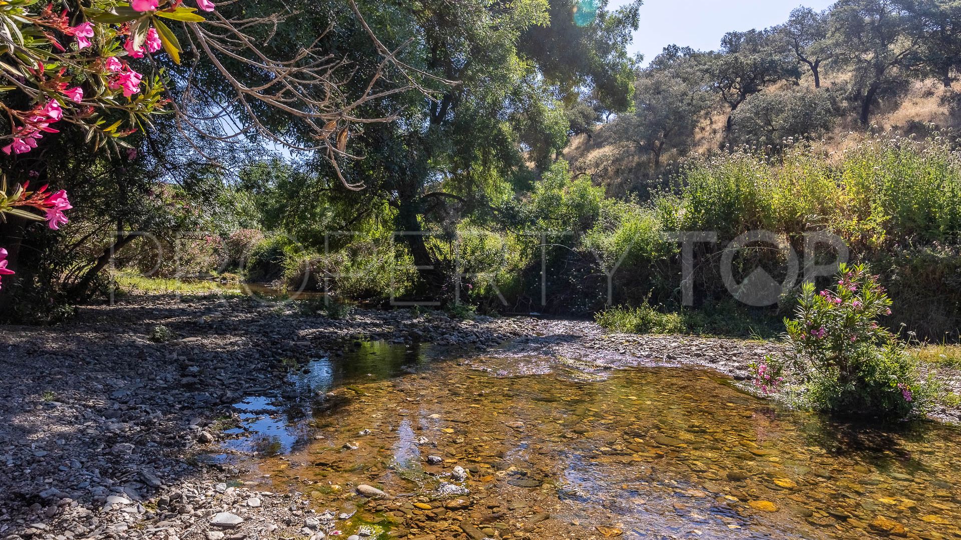 For sale Aracena finca