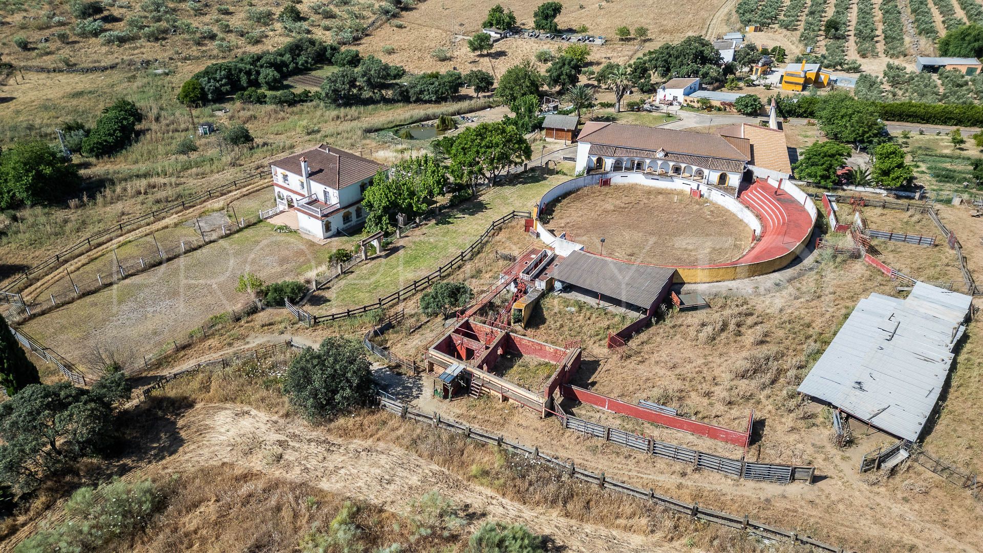 Se vende finca en Castilblanco de los Arroyos