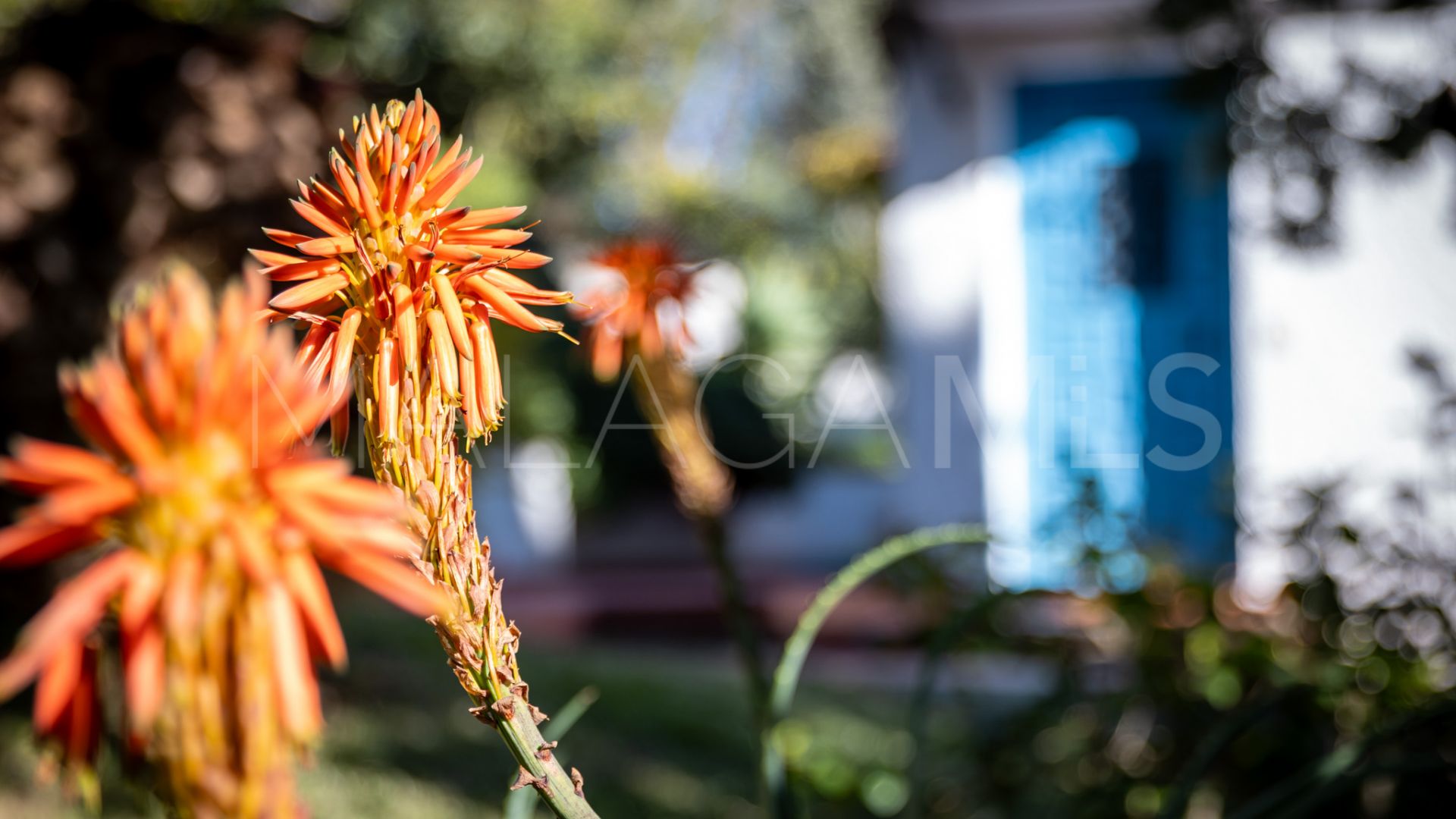 For sale villa with 4 bedrooms in Loma de las Palmas