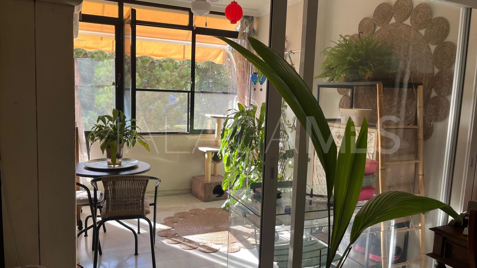 Apartment for sale in Nueva Andalucia