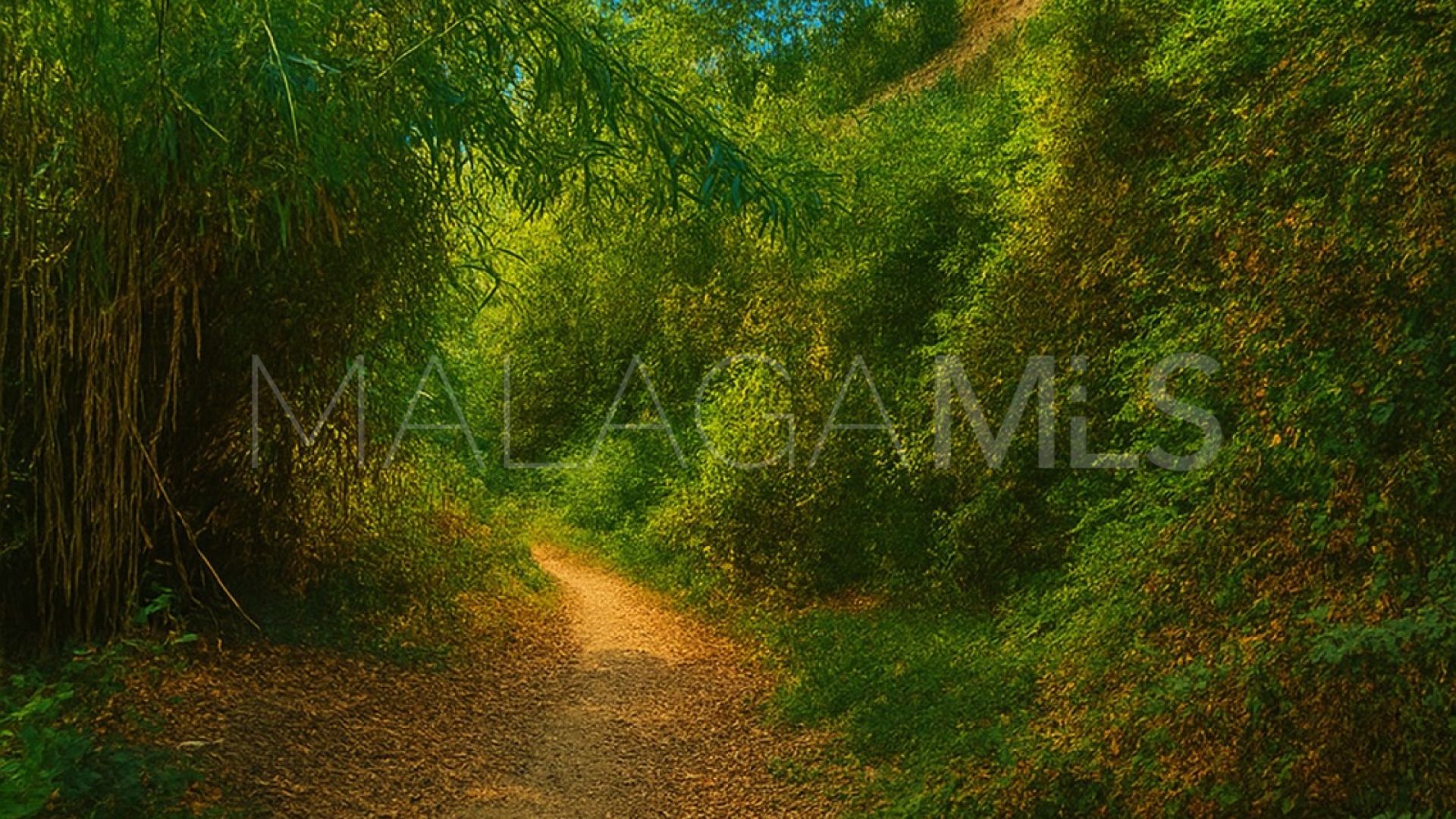 Villa for sale in Parque Botanico