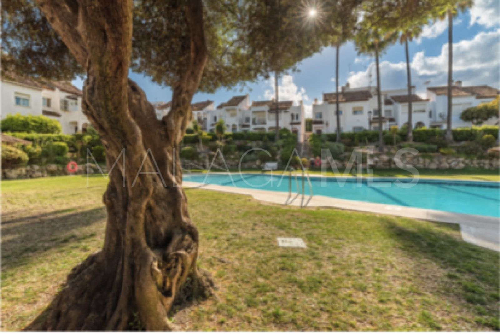 Markplanslägenhet for sale in Paraiso Barronal