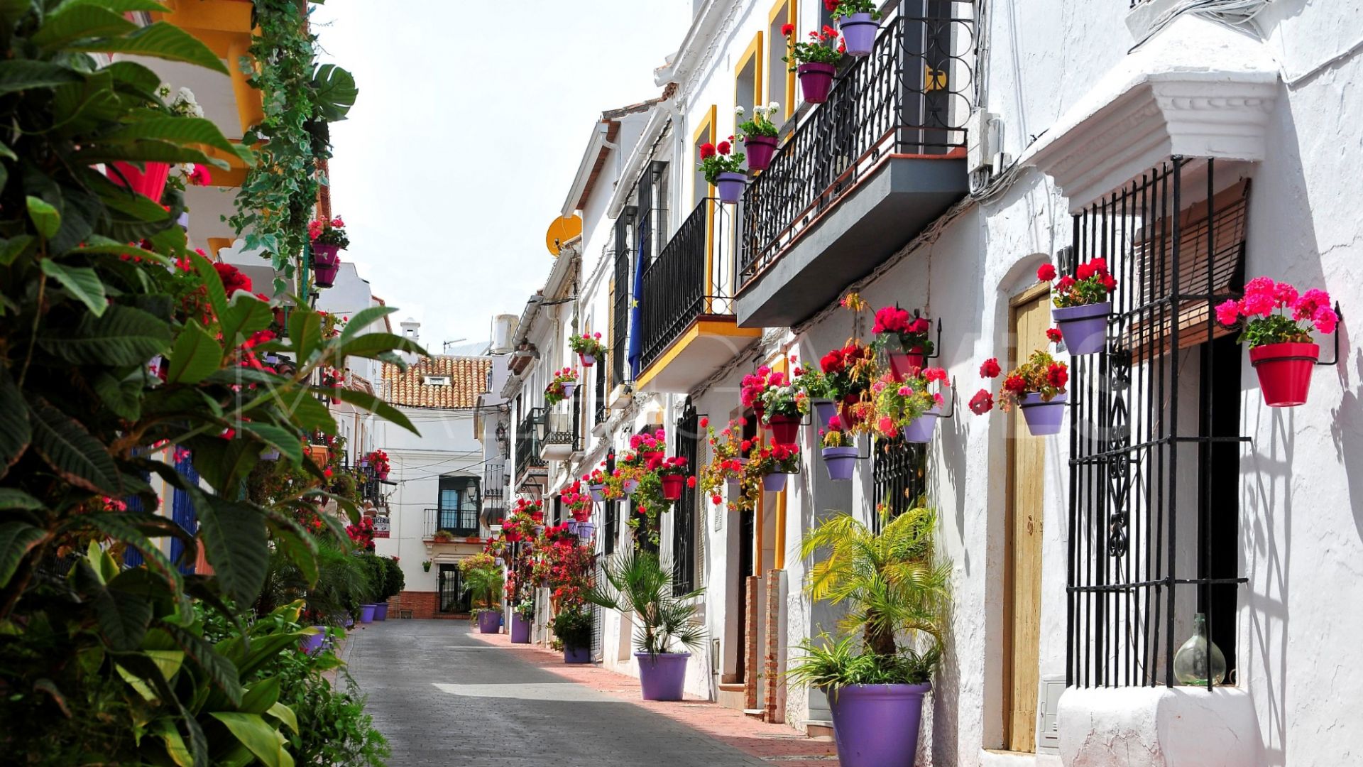 Lägenhet for sale in Estepona Old Town
