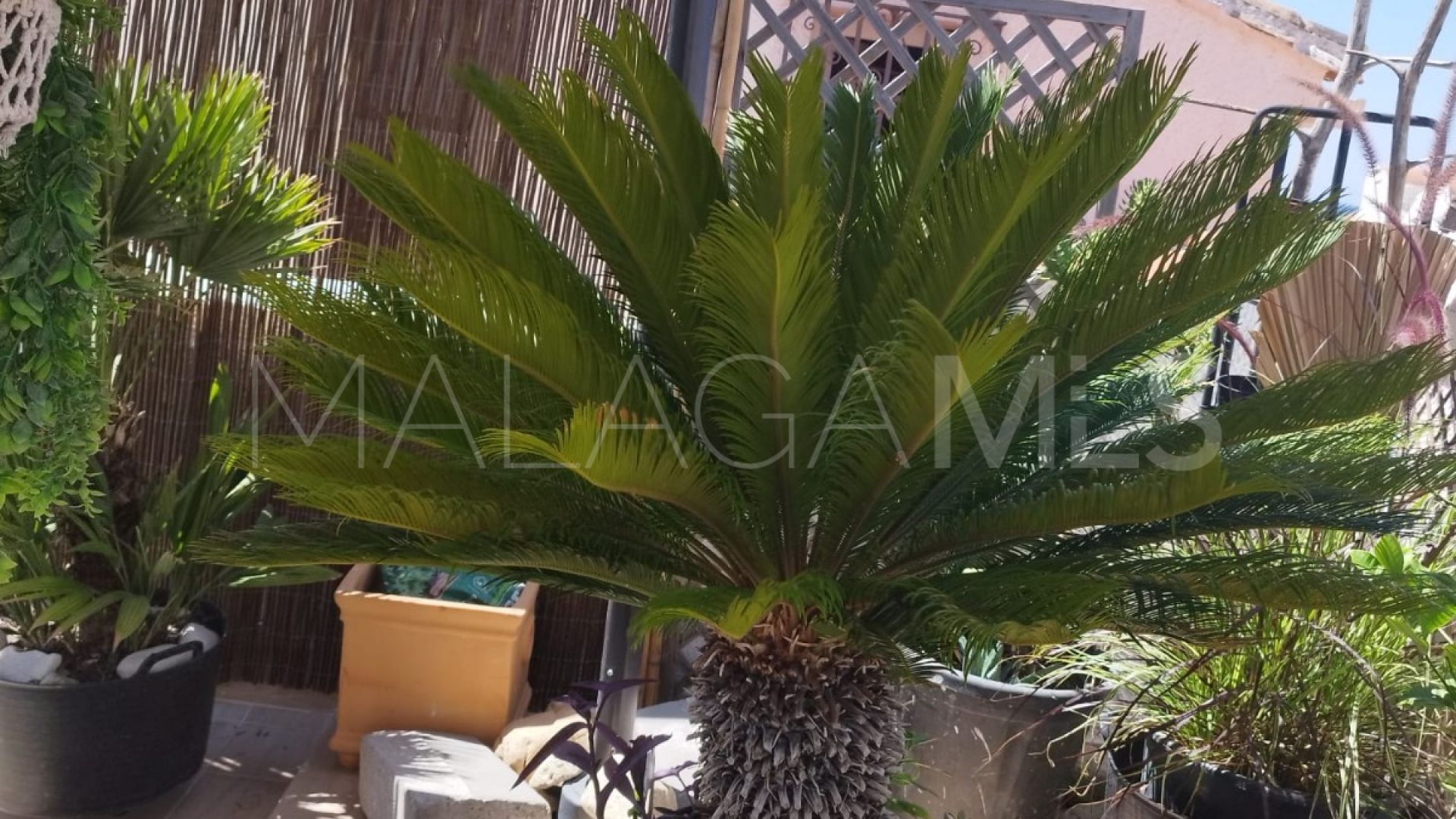 Parhus for sale in Guadalmansa Playa