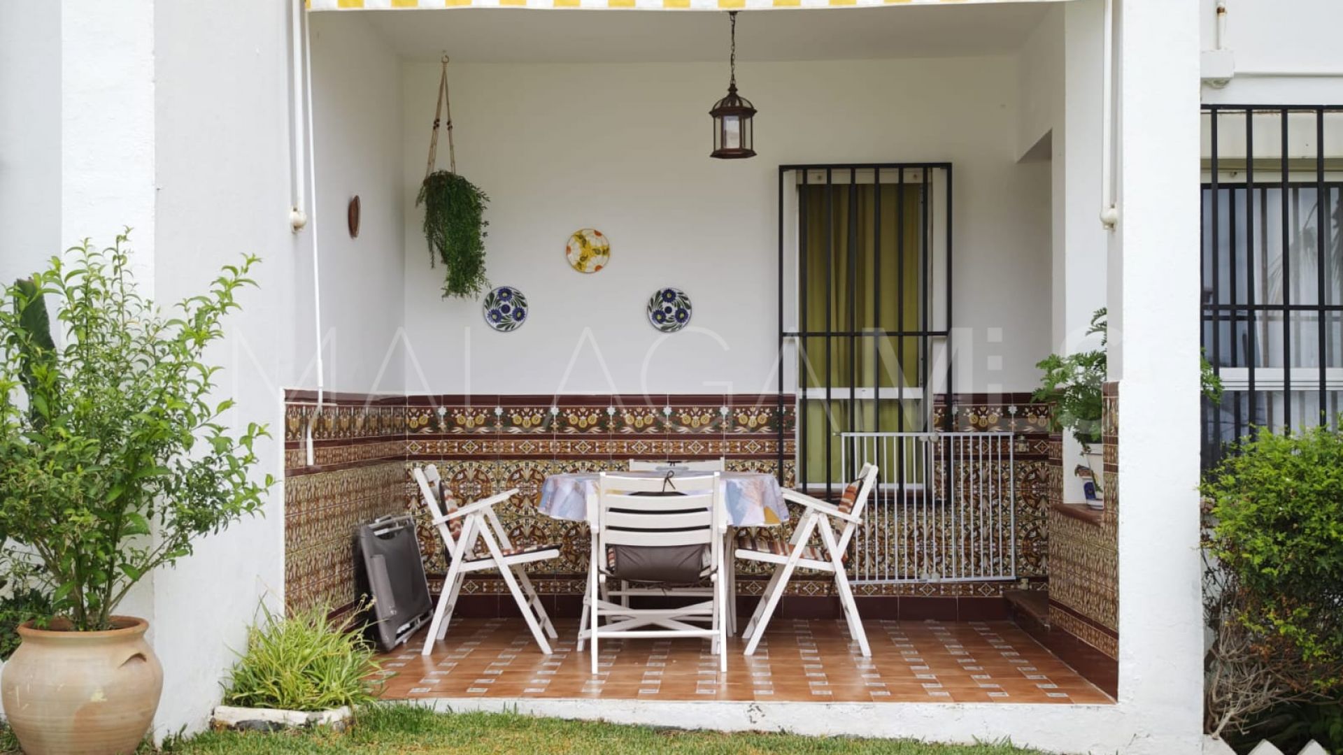 Pareado for sale in Alcorrín