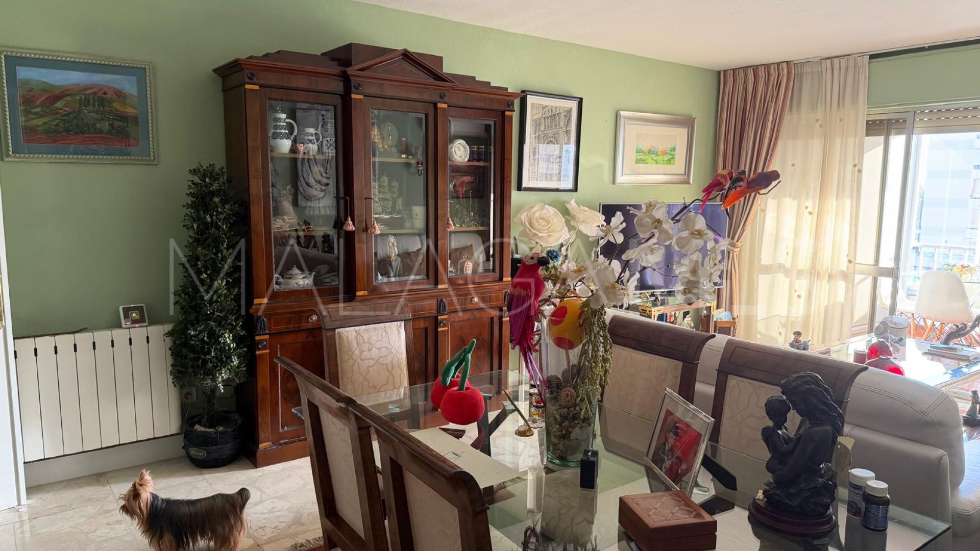 For sale apartment in Ricardo Soriano