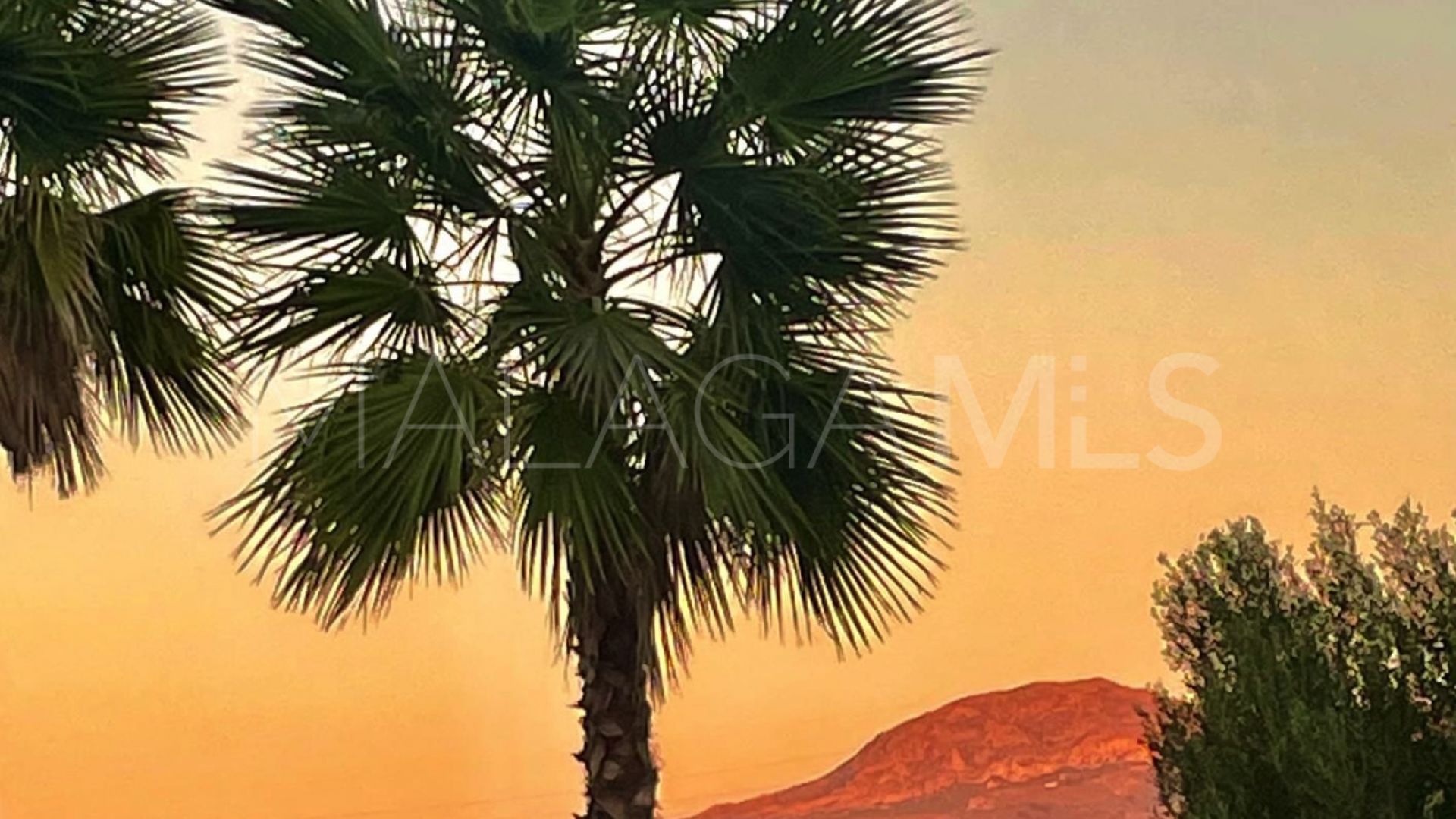 Ground floor apartment with 2 bedrooms for sale in Guadalobon