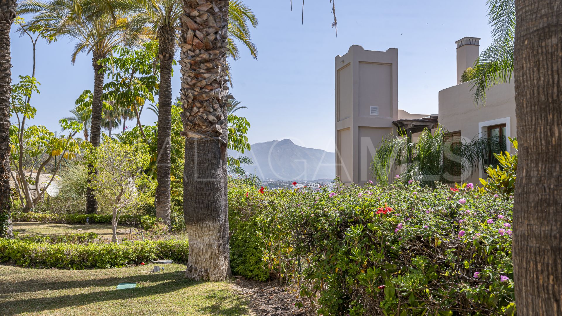 Appartement for sale in Benavista