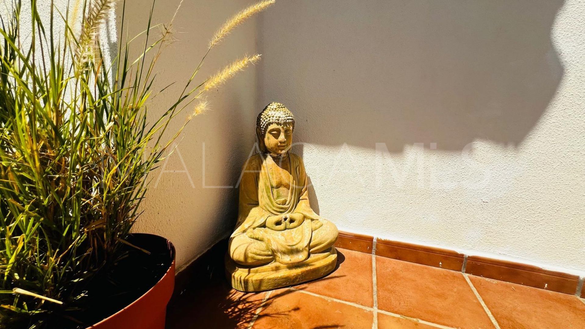 Playa Paraiso 2 bedrooms apartment for sale