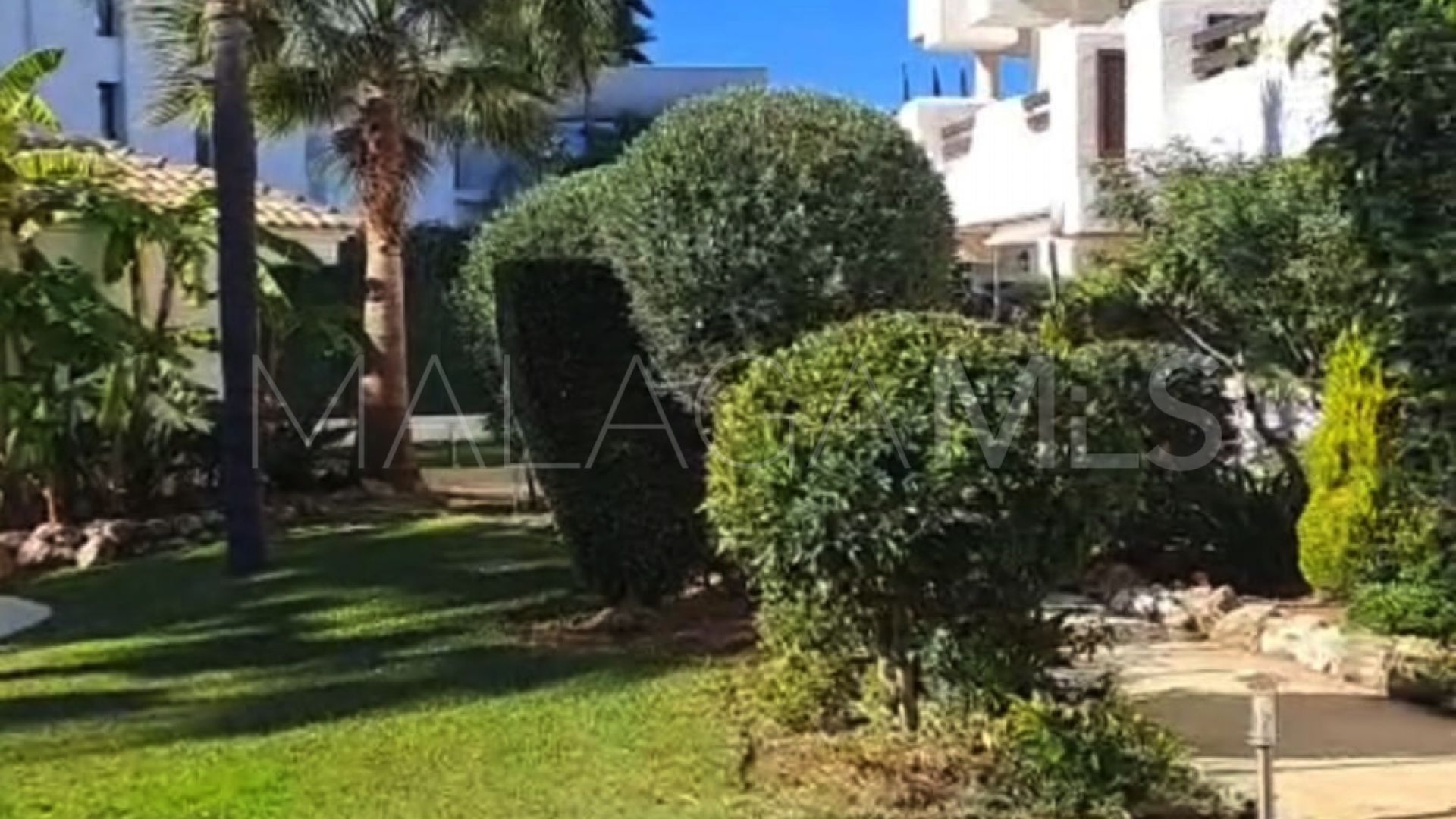 Costalita, apartamento for sale with 1 bedroom