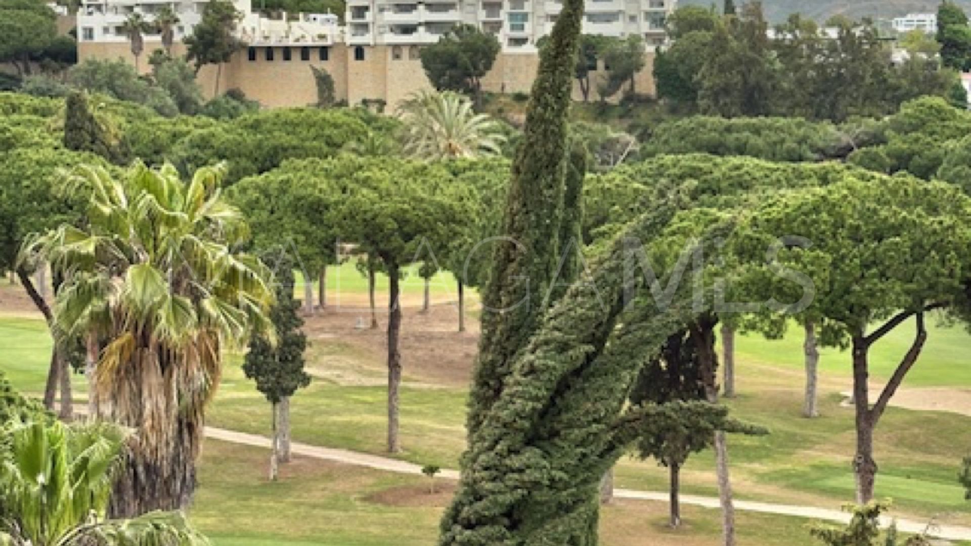 Penthaus for sale in Rio Real