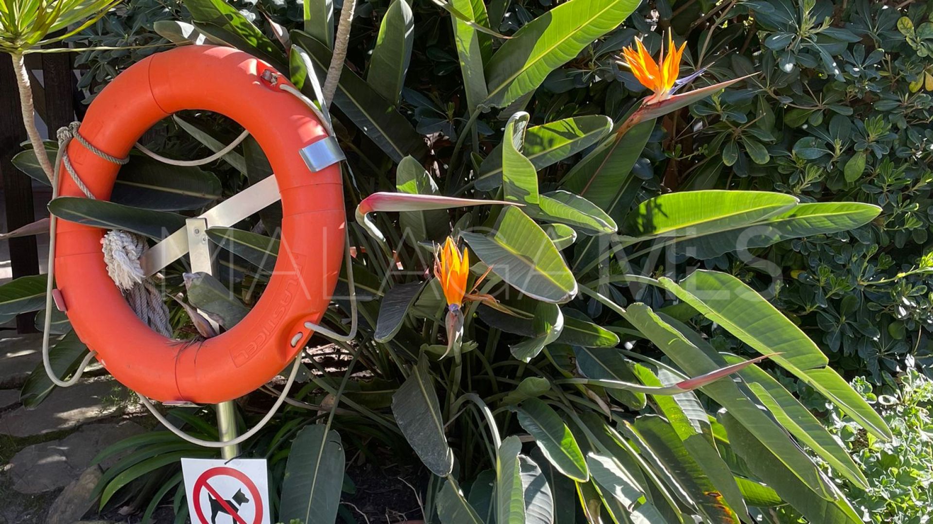 Wohnung for sale in Las Lomas del Marbella Club